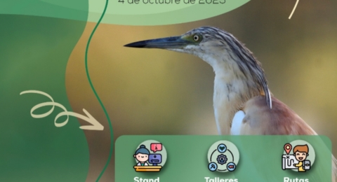 DIA MUNDIAL DE LAS AVES FUENTE DEL REY