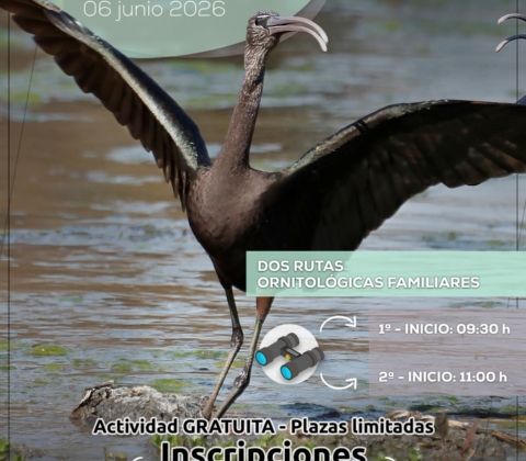 DIA MUNDIAL MEDIO AMBIENTE FUENTE DEL REY