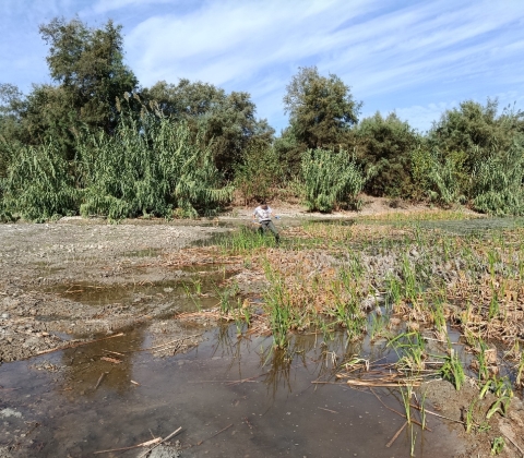 Estudio US Laguna Fuente del Rey