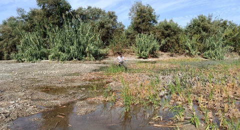 Estudio US Laguna Fuente del Rey