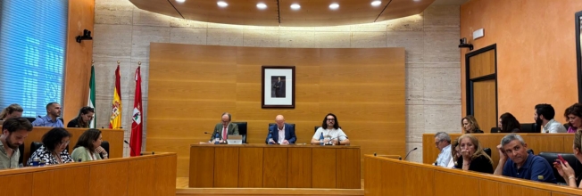 PLENO 13 JUNIO