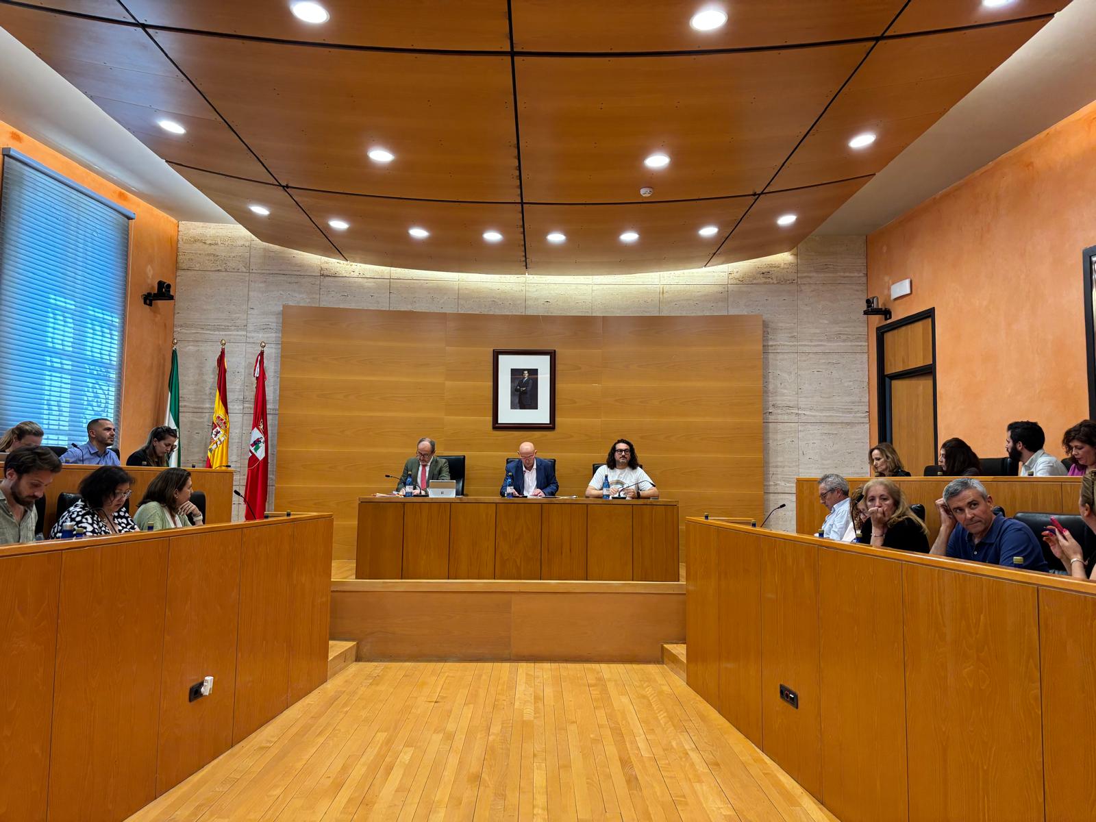PLENO 13 JUNIO
