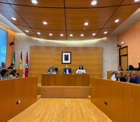 PLENO 13 JUNIO
