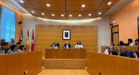PLENO 13 JUNIO