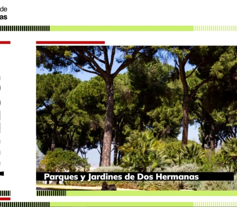 Parques y Jardines