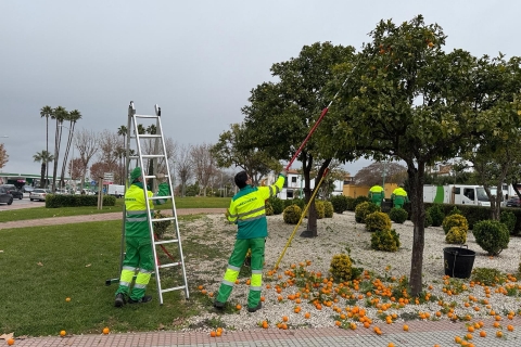 RETIRADA NARANJA AMARGA 01