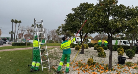 RETIRADA NARANJA AMARGA 01