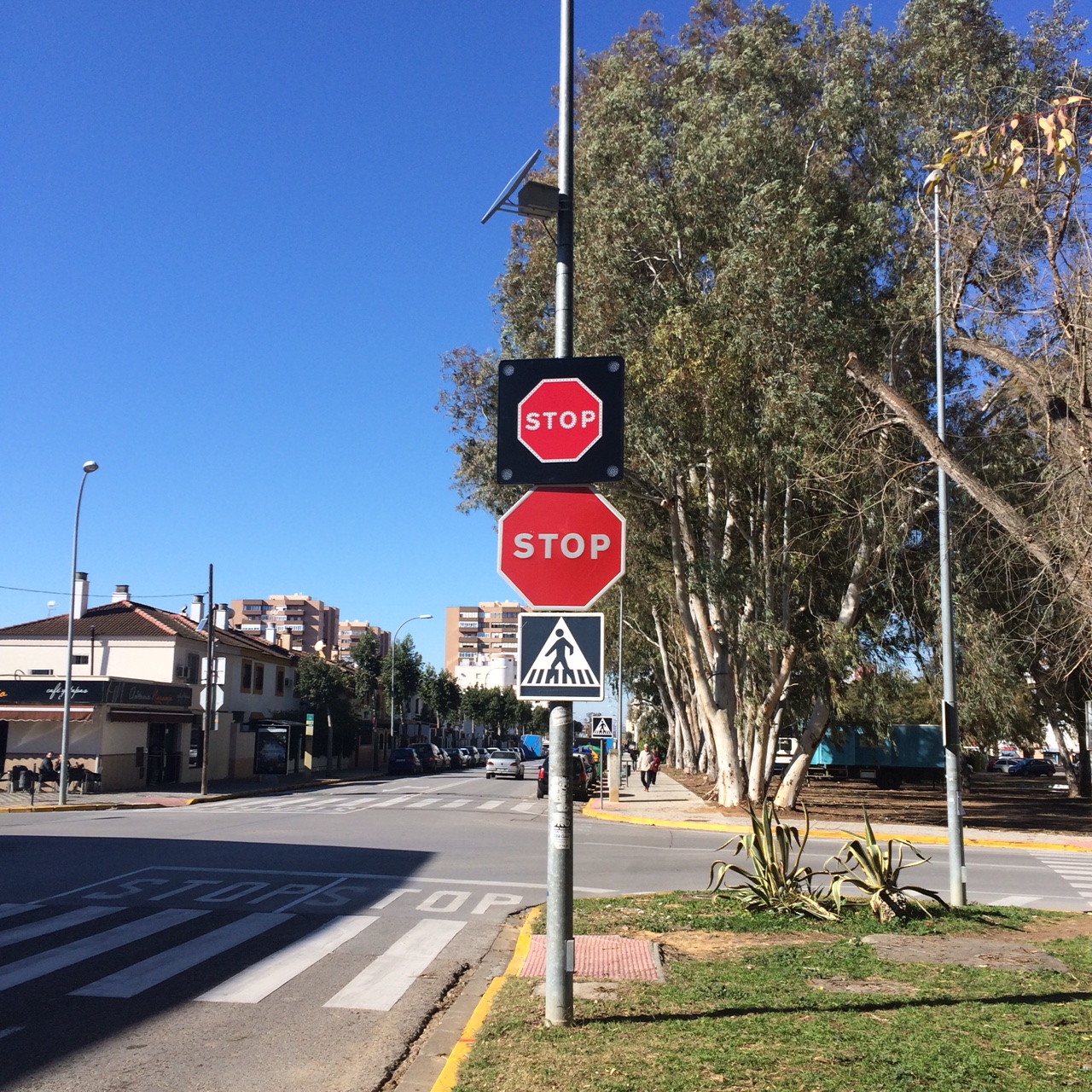 luminosa montequinto madre paula montalt 2, 20-01-2015-1 luminosa montequinto madre paula montalt 2, 20-01-2015-1