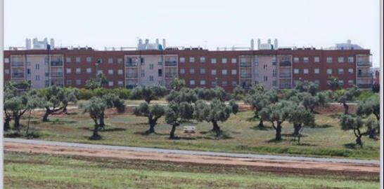 parquese40 parquese40