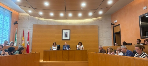 pleno septiembre