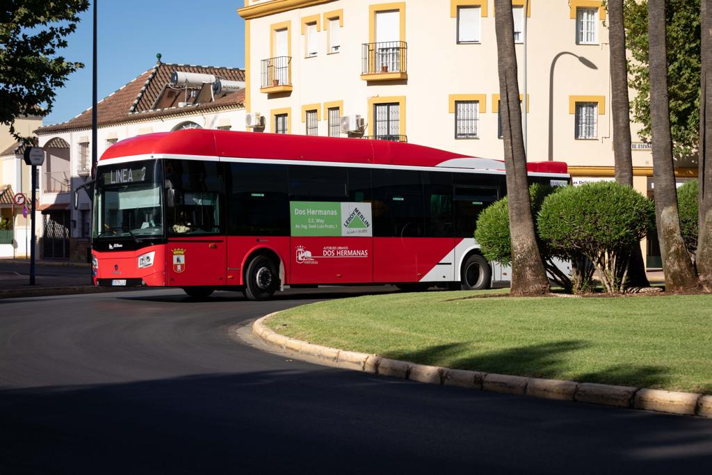 buses02